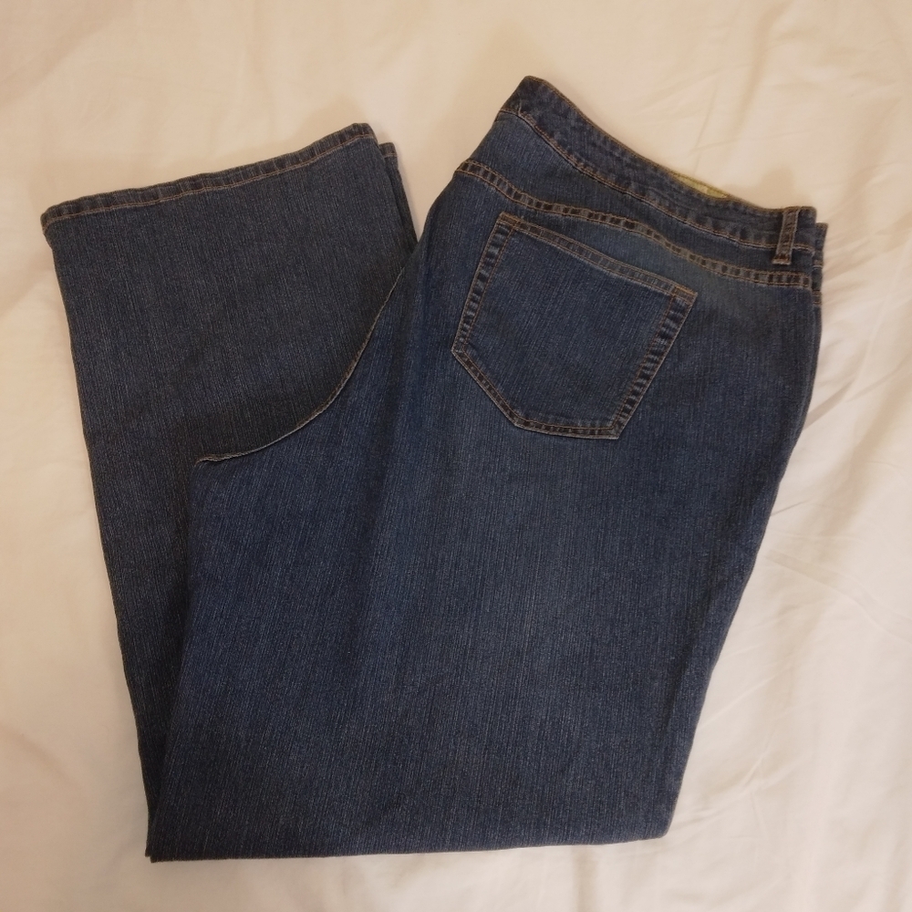 Embroidered Jeans Size 24 By Two Girls Dancing sequins beads floral CUTE!